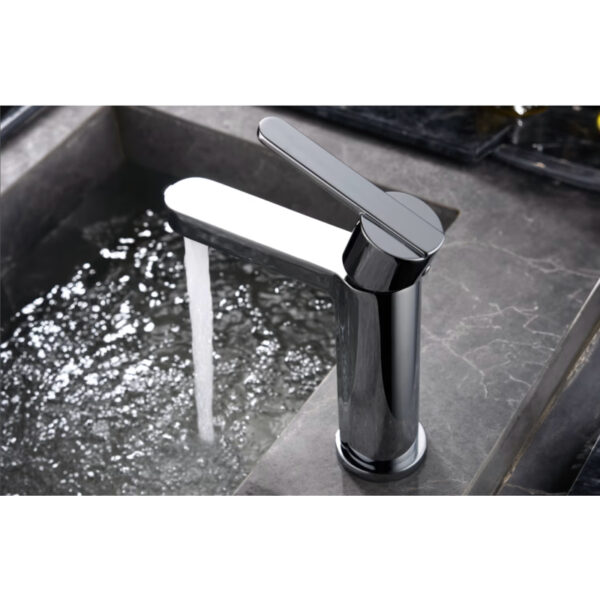 Grifo imex Roma ambiente 1