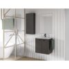 Conjunto completo mueble de baño fondo reducido 35 cm Aneko Amizuva principal 6