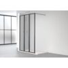 Mampara de ducha Nordic (FN-2003) Profiltek opción 3