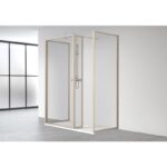 Mampara de ducha Nordic (FN-2231) Profiltek opción 6