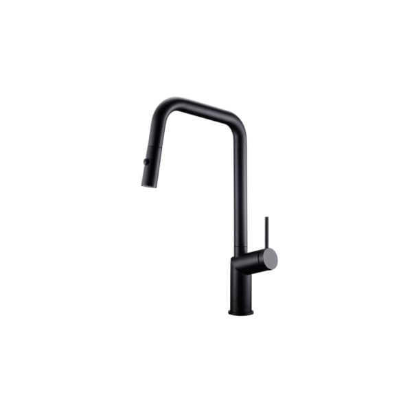 Grifo de cocina Bonn de Imex principal 1