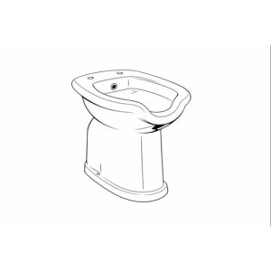 Bidés para personas con movilidad reducida