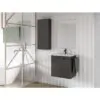 Conjunto completo mueble de baño fondo reducido 35 cm Aneko Amizuva principal 6